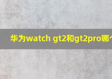 华为watch gt2和gt2pro哪个好